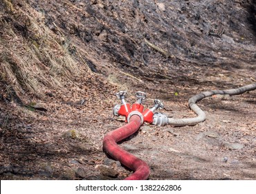 Fire Hose Forest Fire In Germany