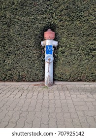 Fire hydrant 