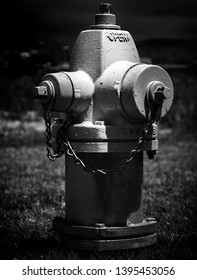 The Fire Hydrant Black and White