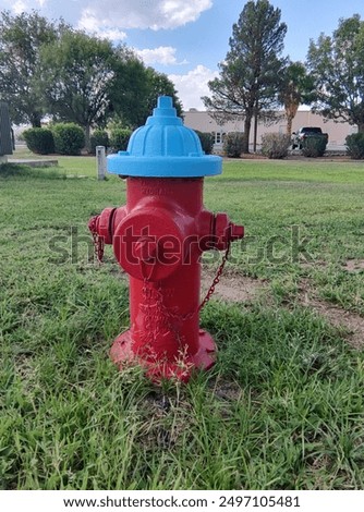 fire hydrant with blue cap on the grass