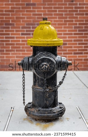 A fire hydrant with brick building on the background in Boston