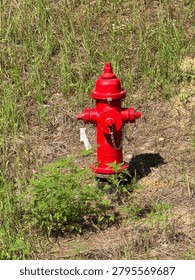 A fire hydrant by the roadside 