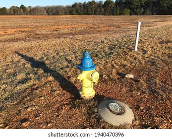 Fire hydrant casting a long shadow in a new subdivision near Athens, Alabama.