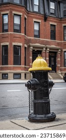 A fire hydrant in front of a brick building