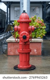 Fire Hydrant Installed on Wet Urban City Street