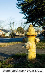 Fire Hydrant On Neighborhood Street Corner