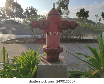 fire hydrant in a park