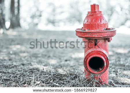 fire hydrant in the park