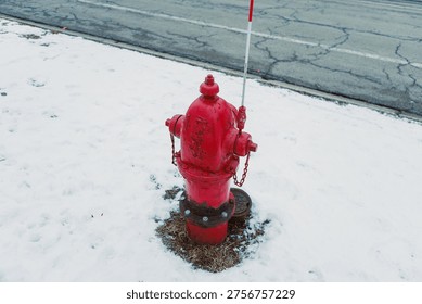 A fire hydrant is placed in a patch of snow with grass around it. A cracked road runs nearby, and it is daytime with clear lighting.