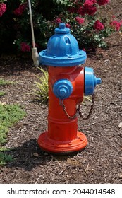 a fire hydrant or fire plug painted blue and red is situated along a street in sunshine surrounded by mulch