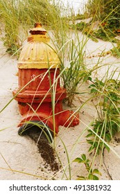 Fire hydrant in a sand dune on the beach.
