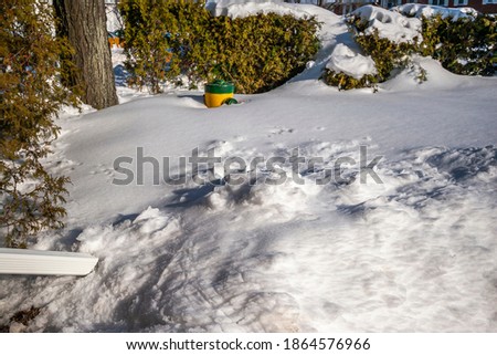 Fire hydrant and shrubs covered in deep snow after a snow storm