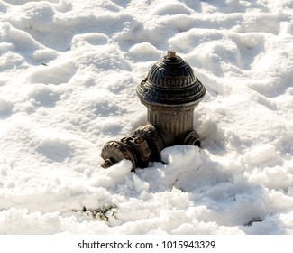 Fire hydrant in the snow 
