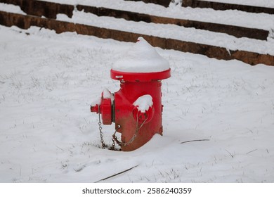 Fire hydrant in the snow