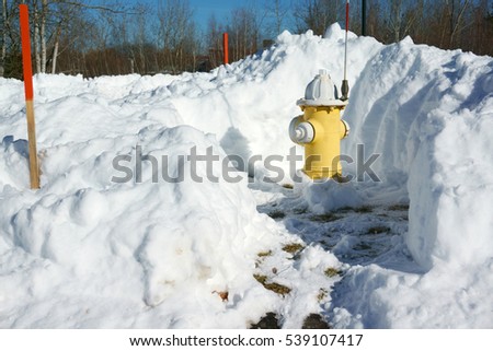 fire hydrant with surround snow removed