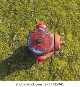 Огнегидрант вид сверху fireplug