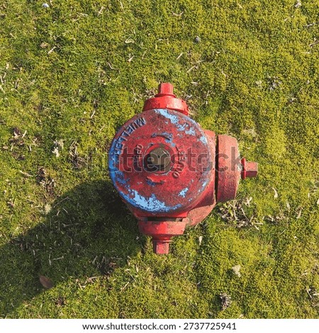 Fire Hydrant top view fireplug
