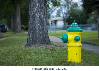 Fire Hydrant Tree Stock Photo 1634331 | Shutterstock