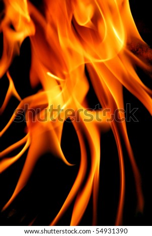 fire Barbecue (apparatus)
