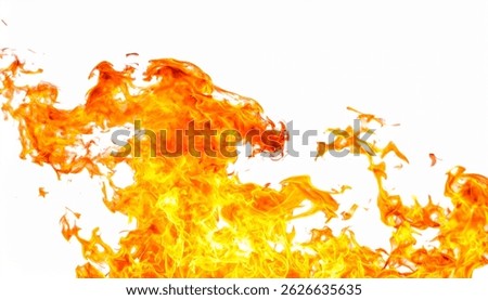 Fire . isolated on a white background. 