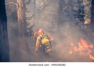 
Fire Jobs In Patagonia Argentina