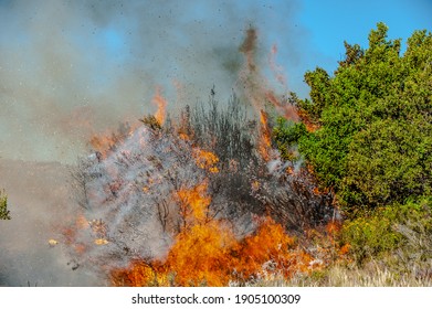 
Fire Jobs In Patagonia Argentina