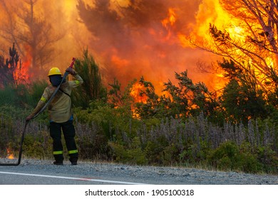 
Fire Jobs In Patagonia Argentina