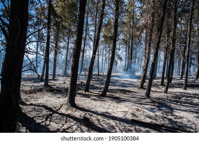 
fire jobs in patagonia argentina - Shutterstock ID 1905100384