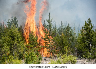 
Fire Jobs In Patagonia Argentina