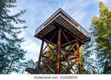 Fire Lookout Surrounded By Trees