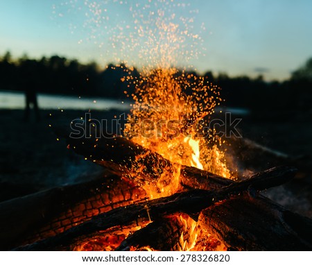 fire in nature . bokeh from the fire . blurred backgrounds . Space views.