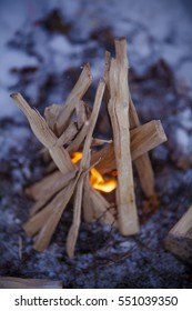 fire in nature . Bonfire in the forest. Winter forest
