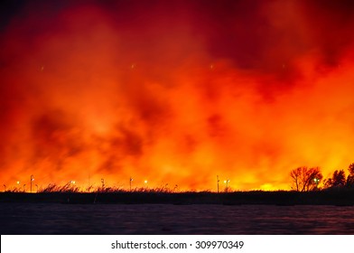 Fire near the rowing canal. Rostov-on-Don. Russia