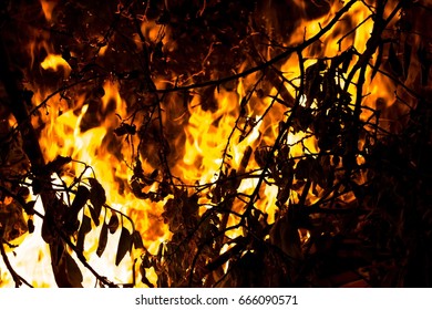 Fire at night