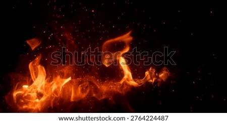 Fire on a black background.