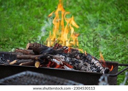 Fire on burning wood in barbecue grill on green grass. Rest, weekend, cook