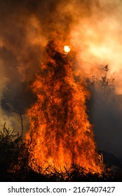 Fire On Dry Grass, Lahore Pakistan - 09 June,20
Burning Of Dry Grass With Orange Flame In Day Time And Sun Is In The Background