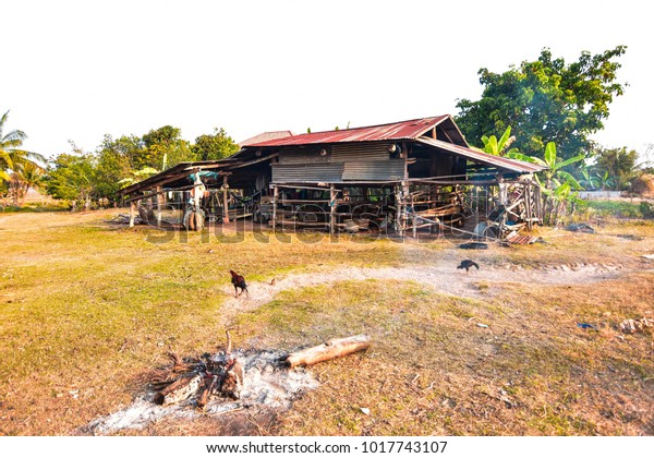 Fire On Dry Ground Open Space Stock Photo Edit Now 1017743107