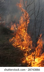 fire on the field