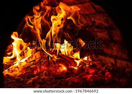 Similar – Image, Stock Photo Burning wood Adventure