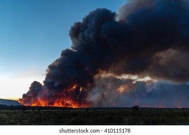 Fire In The Pine Forest Of Tabuyo Del Monte, Leon.