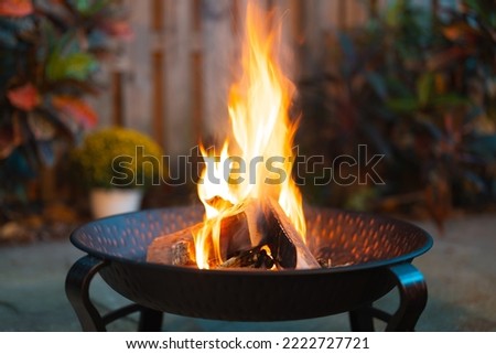 Fire pit. Outdoor fire pit with red flame. Evening gatherings by the fire. Good for cooking marshmallow or sausages. Metal bowl for kindling firewood. Wooden fence on background. Fall or autumn season