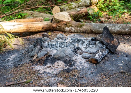 fire place bbq in forest with stones and ashes