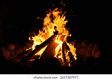 Fire ring on the beach