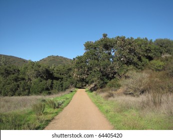 Fire Road In Point Mugu State Park, California