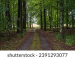 Fire Road at Saratoga National Historical Site in Upstate New York