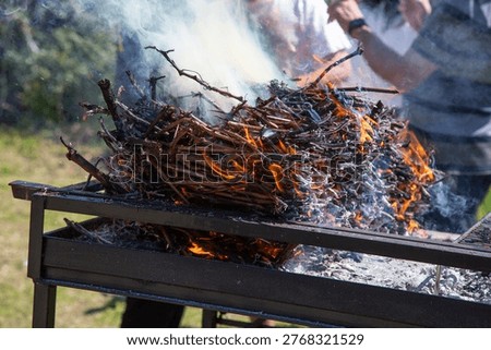 Fire Setup Preparations. Carefully Assembling And Managing Heated Pile Of Wood For Communal Cooking