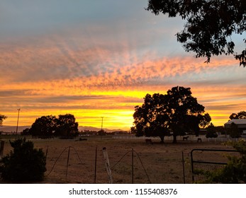 fire in the sky