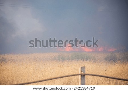 fire in the spring of dead wood and dry grass near a big city threatening the evacuation of people during a mass danger
