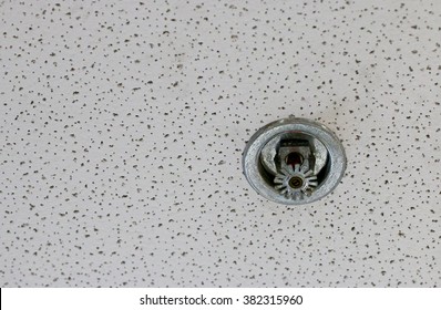 Fire Sprinkler In Acoustic Ceiling Tile